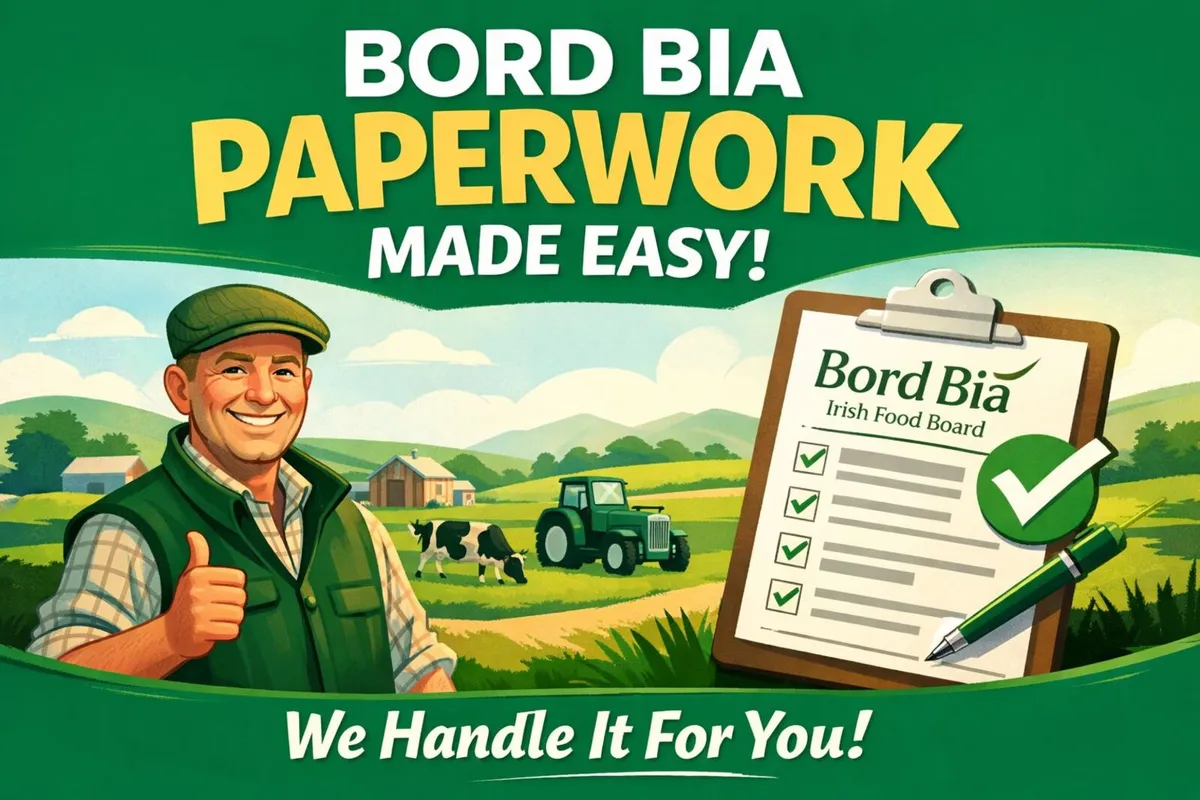 BORD BIA AUDIT PAPERWORK