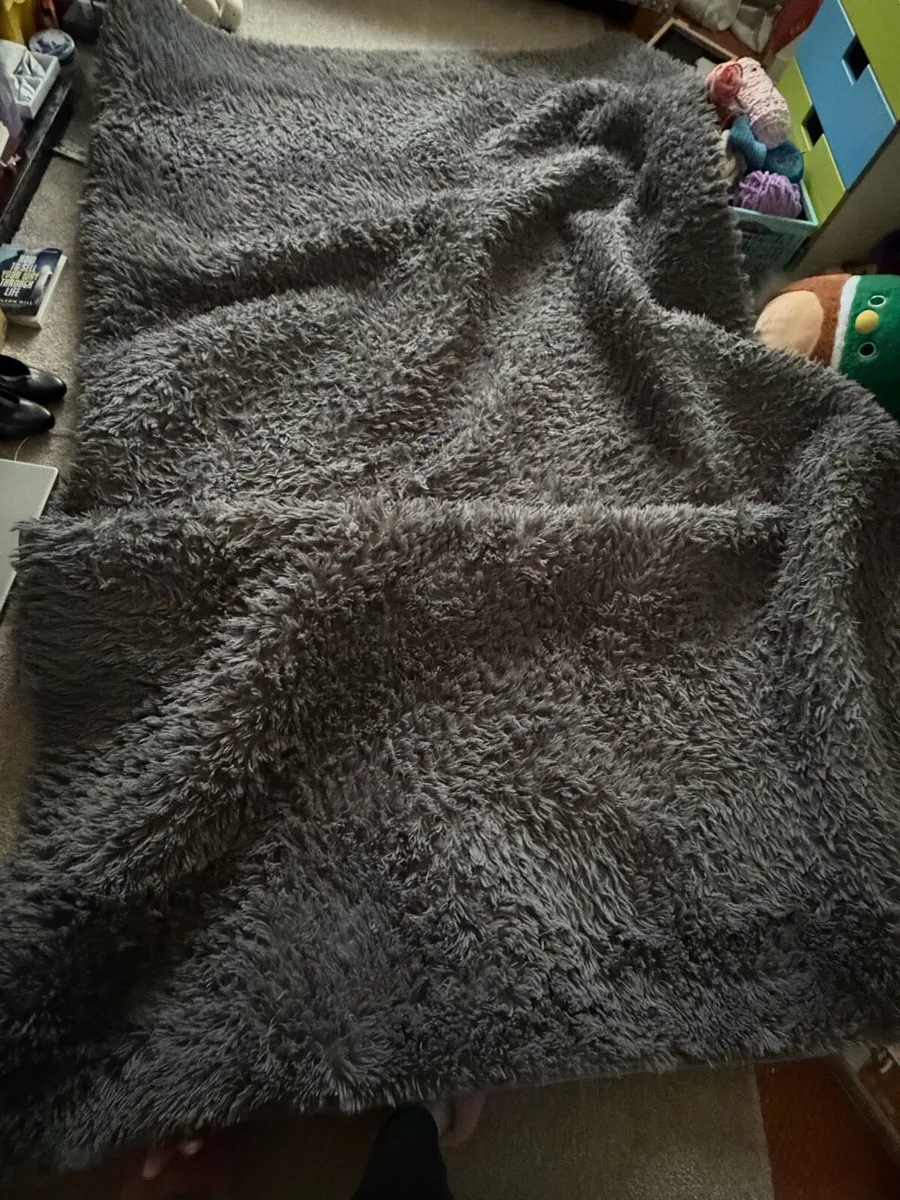 Area carpet 2/3metres - Image 1