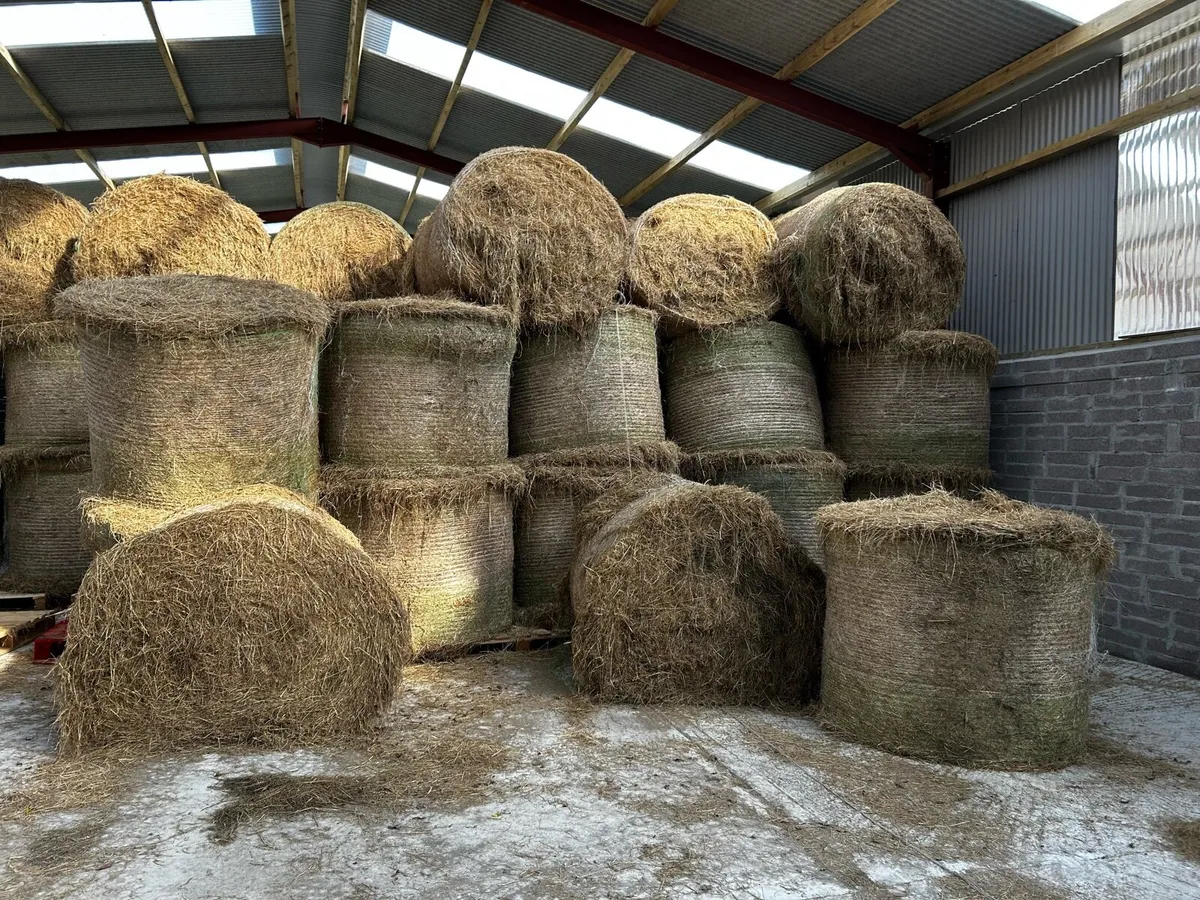Hay for sale