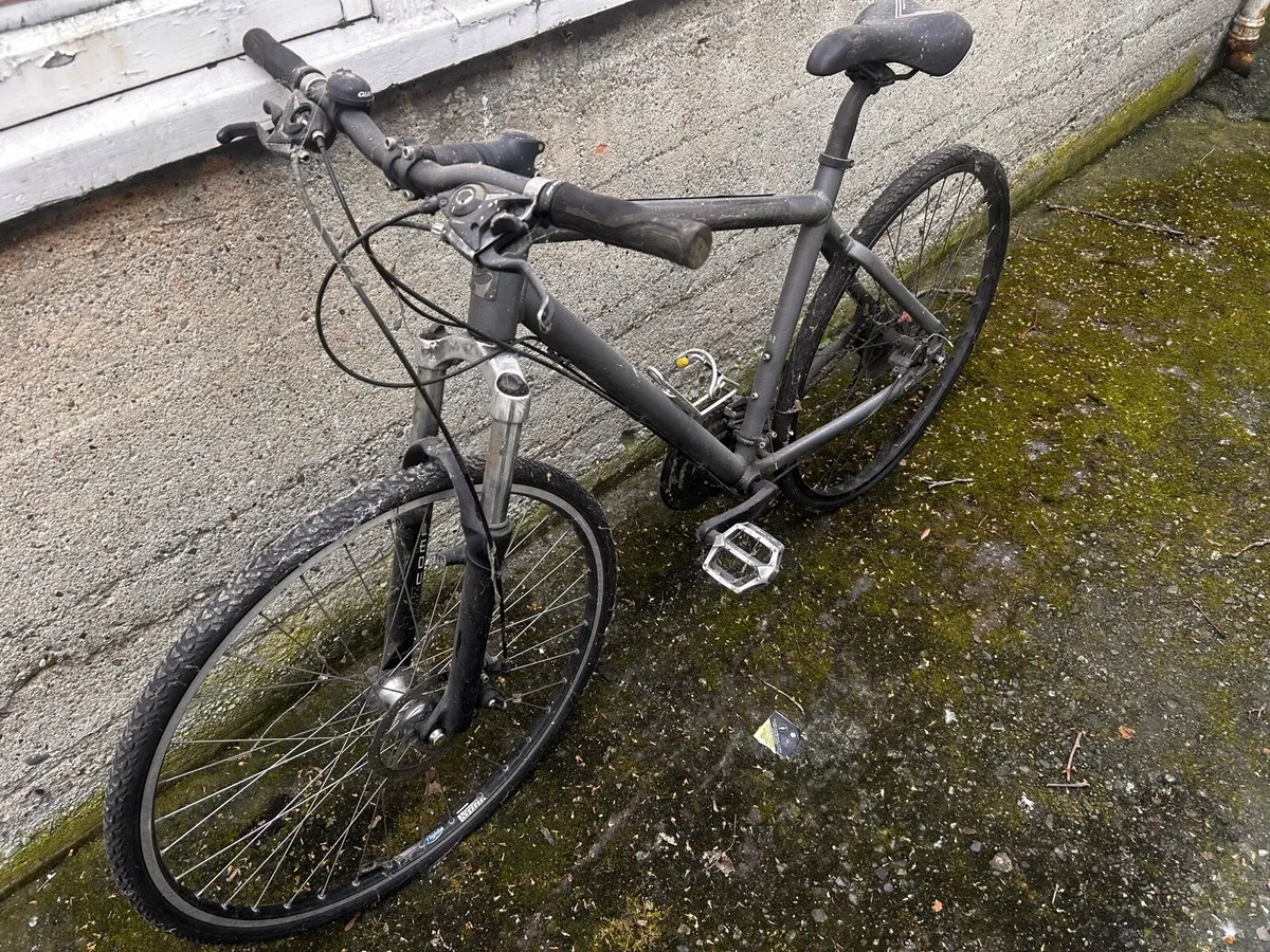 Man’s giant bike - Image 2