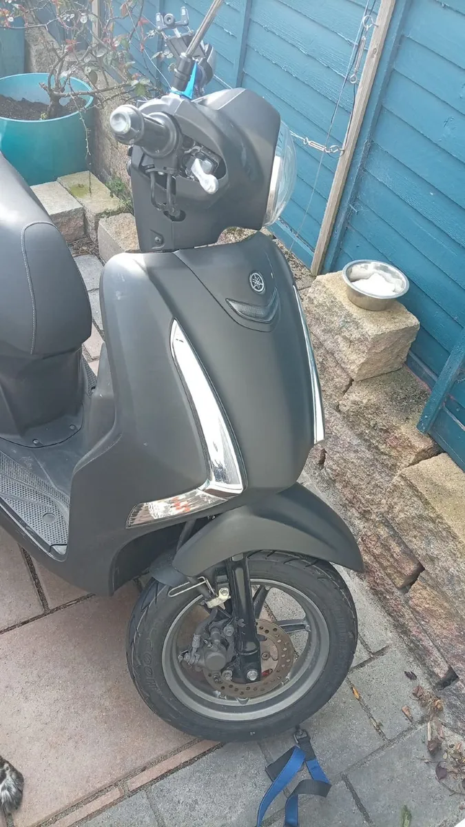 YAMAHA Delight 2021 - Image 3