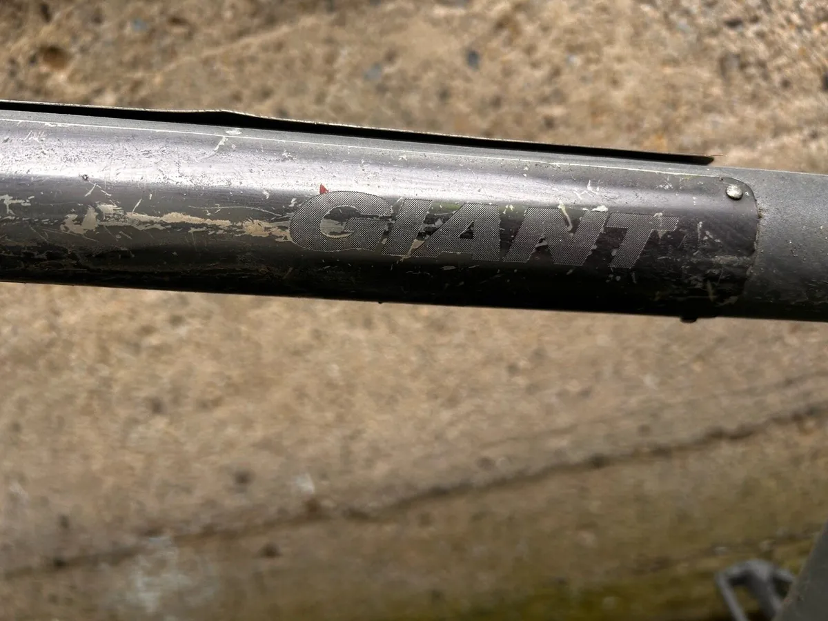 Man’s giant bike - Image 3