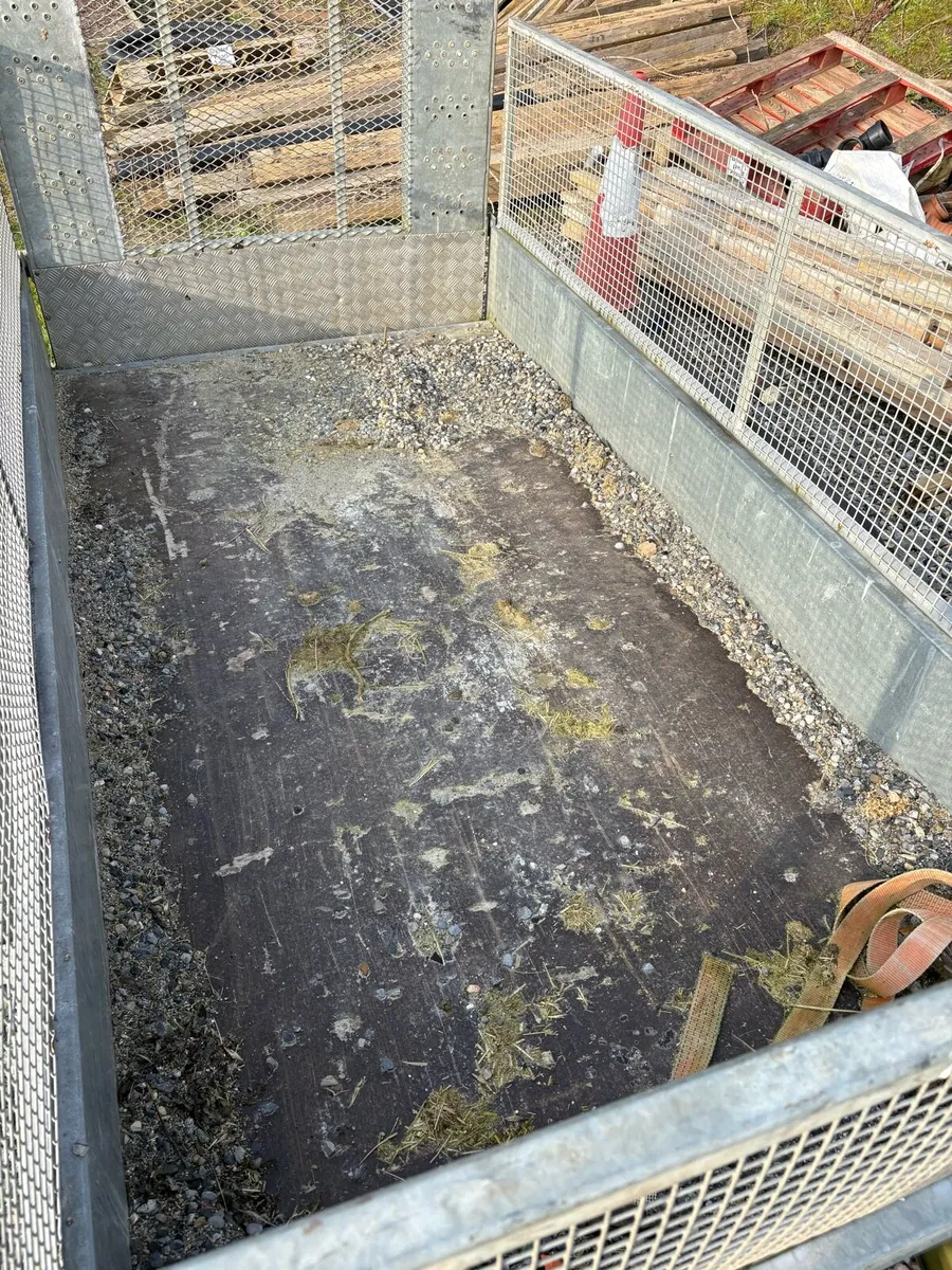 Nugent 10x5 - Image 4