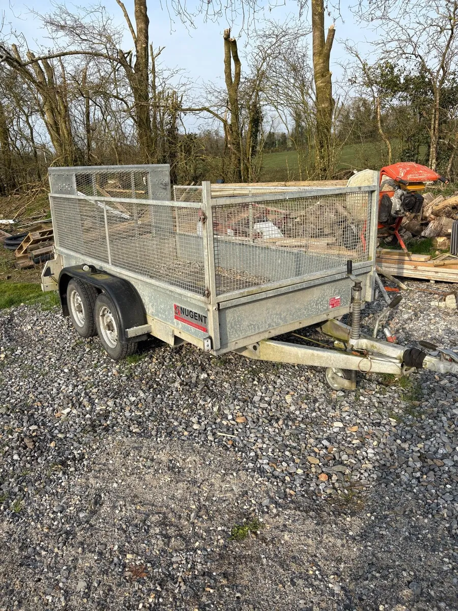 Nugent 10x5 - Image 1