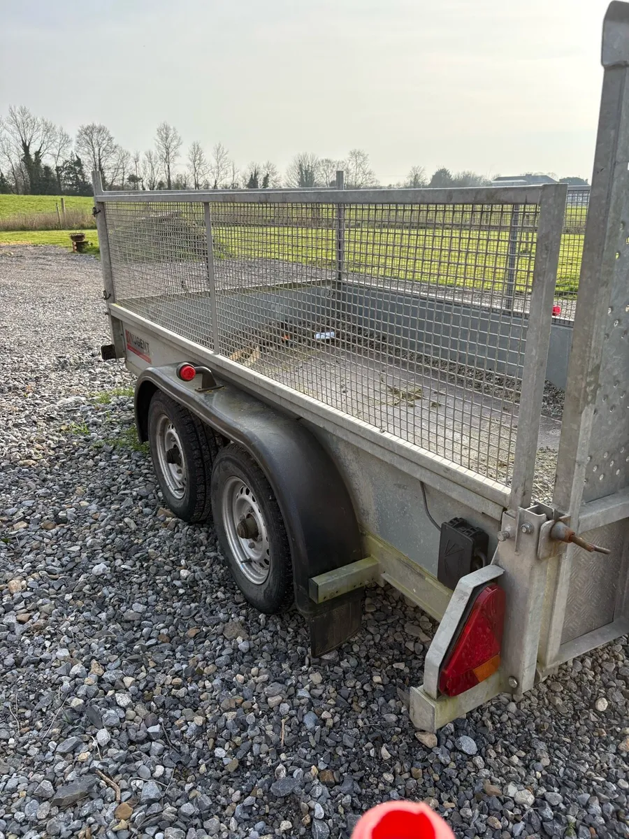 Nugent 10x5 - Image 2