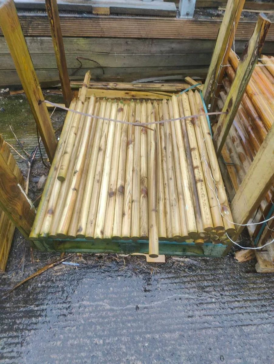 Pencil Posts / Tree stakes - Image 3