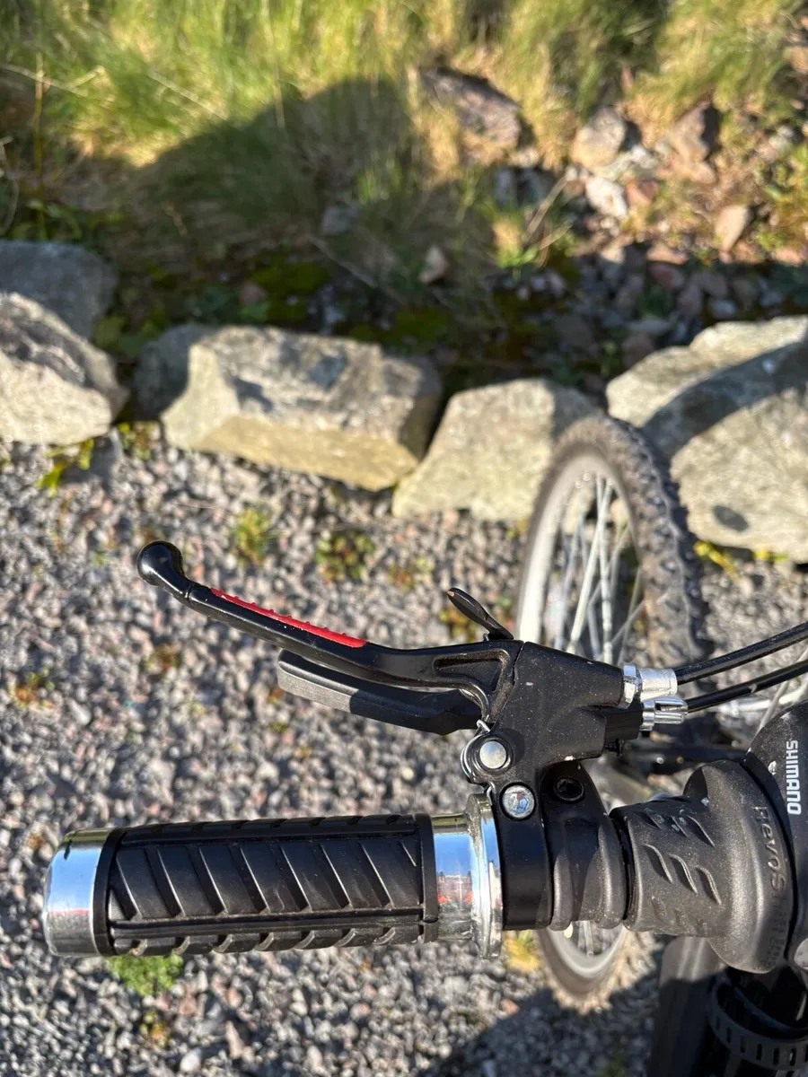 Engine bike - Image 3