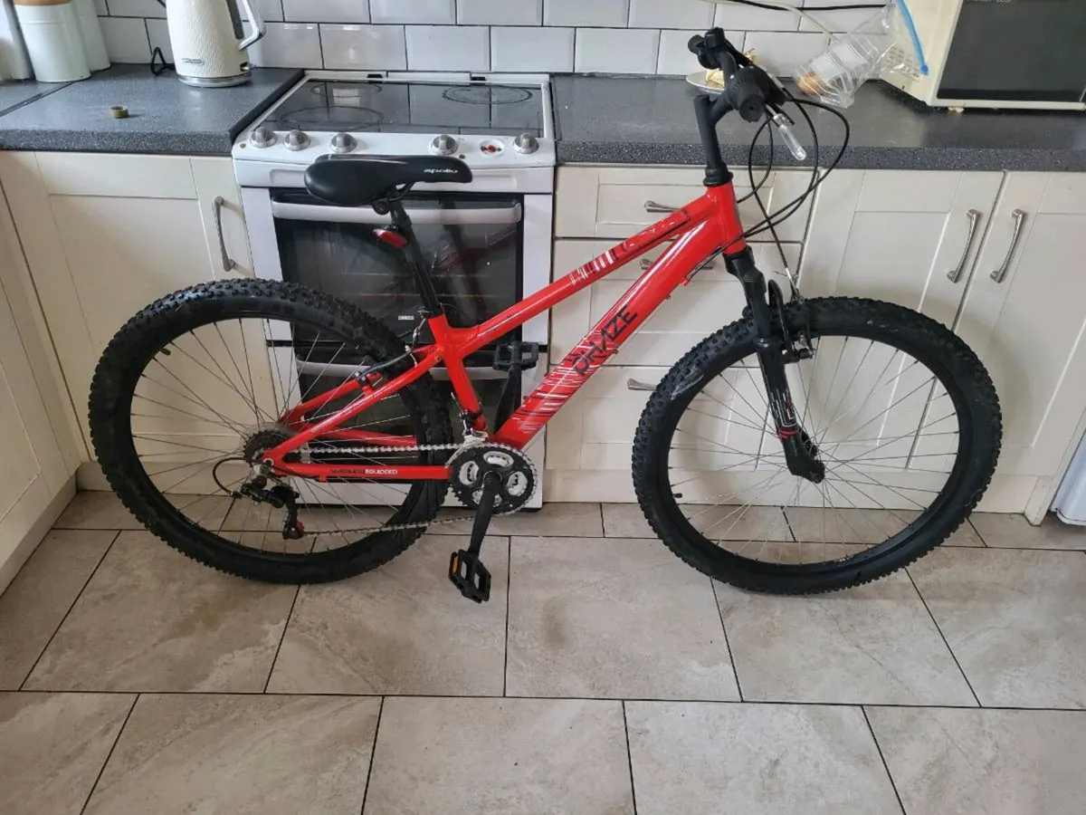 Mountain bike - Image 1