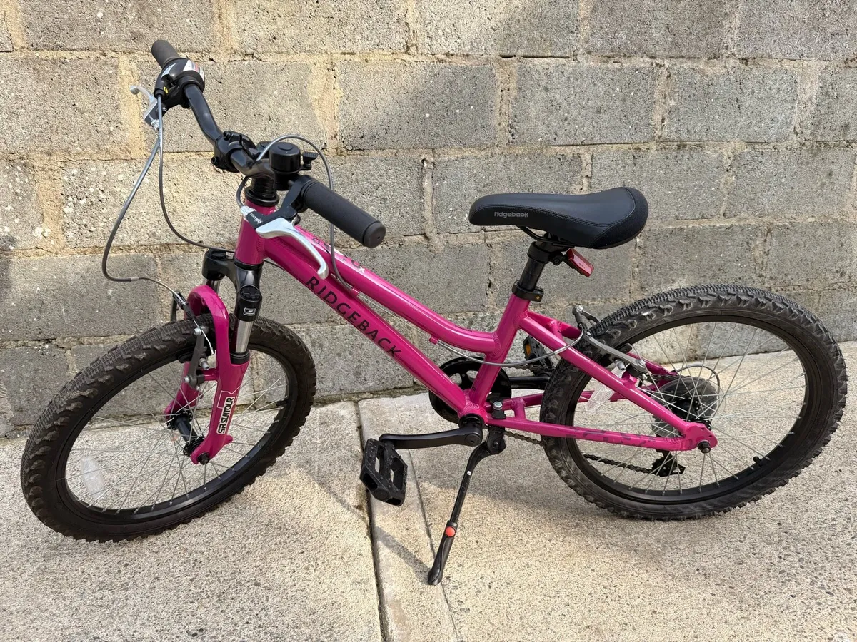 Kids Ridgeback mountain bike - Image 1