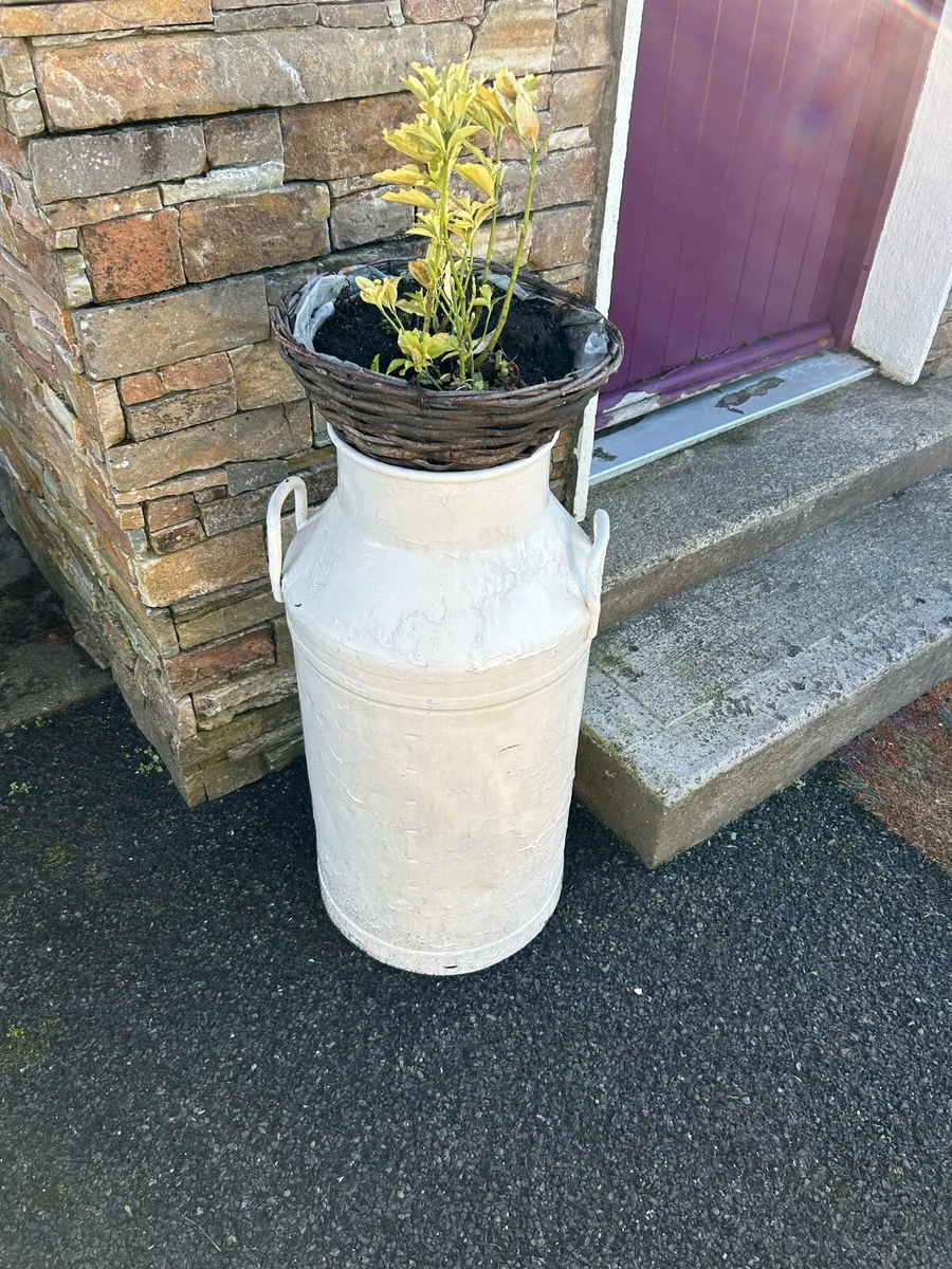 Milk Churns,Blender,insect-o-cuter’s - Image 2