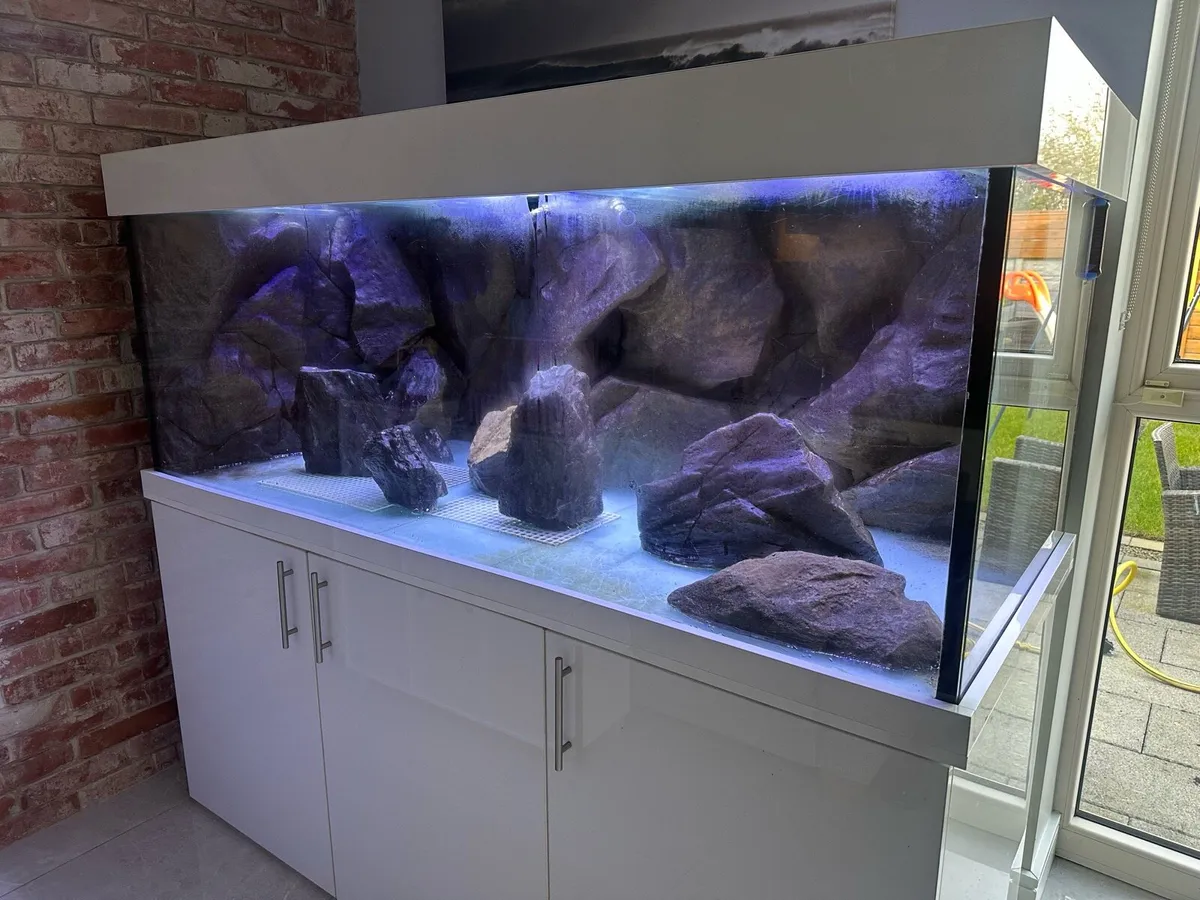 Custom made Aquarium 72”L x 27”H x 30”W 1200L - Image 1