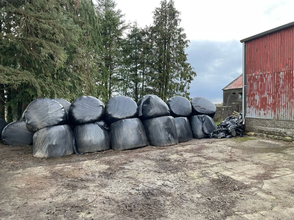 Silage bales