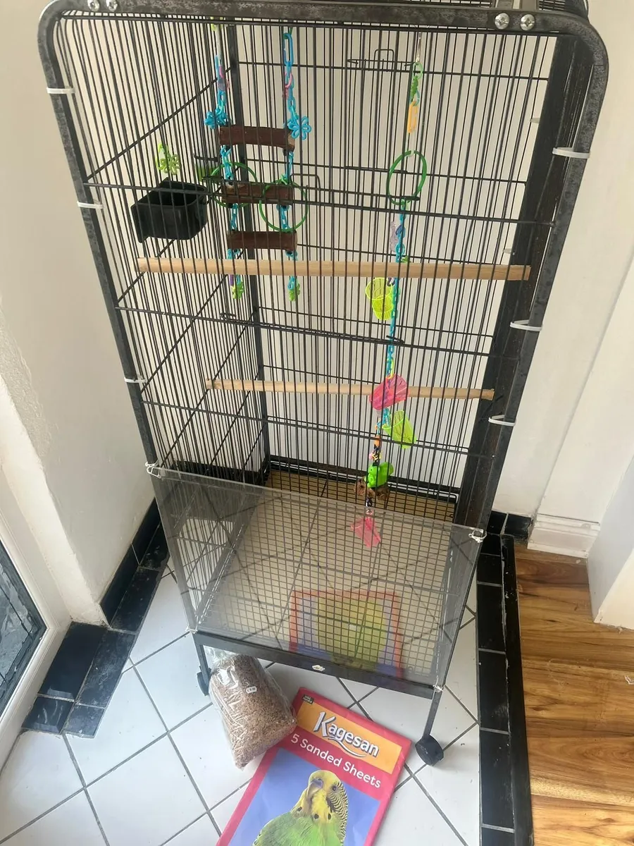 Large Cage - Image 1