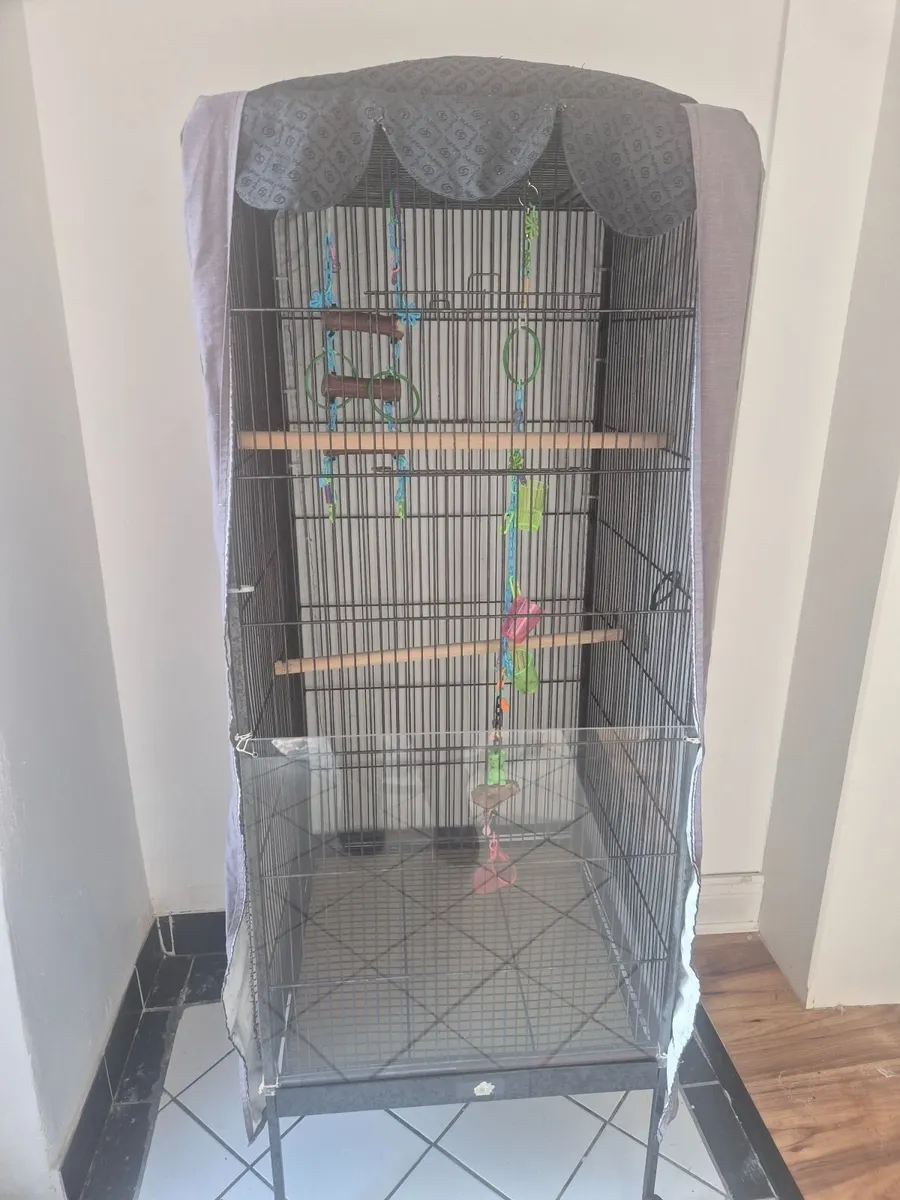 Large Cage - Image 2