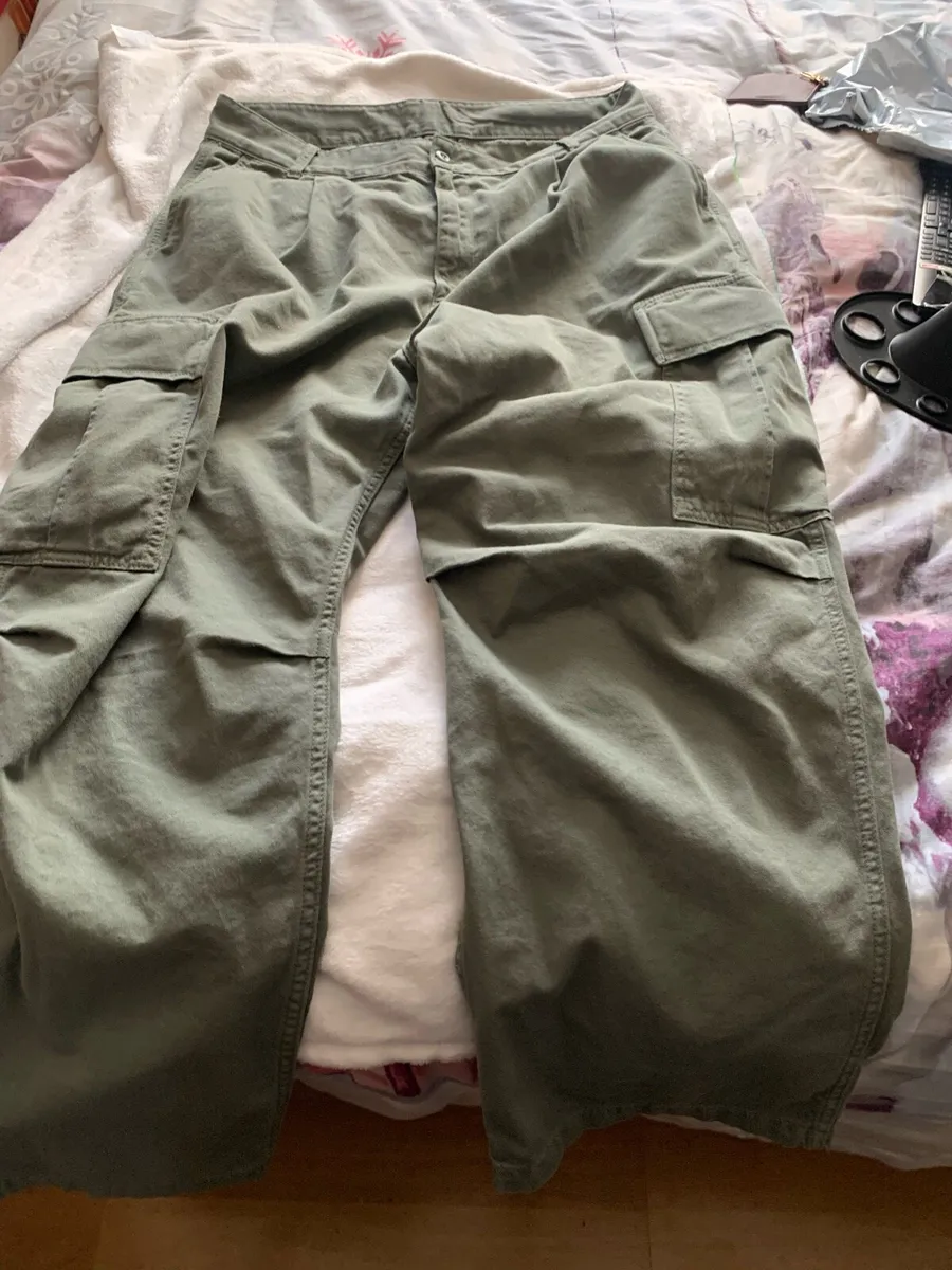 Carhartt pants 34 w new - Image 1