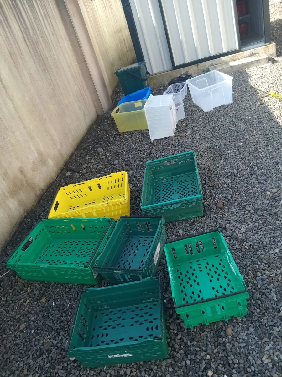 STORAGE BOXES & CRATES - Image 2