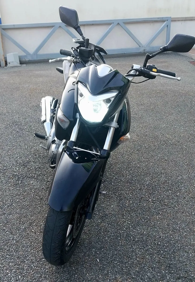 Suzuki Gz250 - Image 4