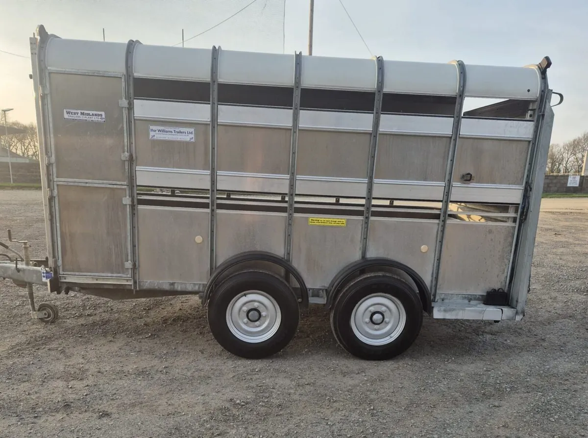 Ifor Williams 12 x 6 cattle trailer - Image 4