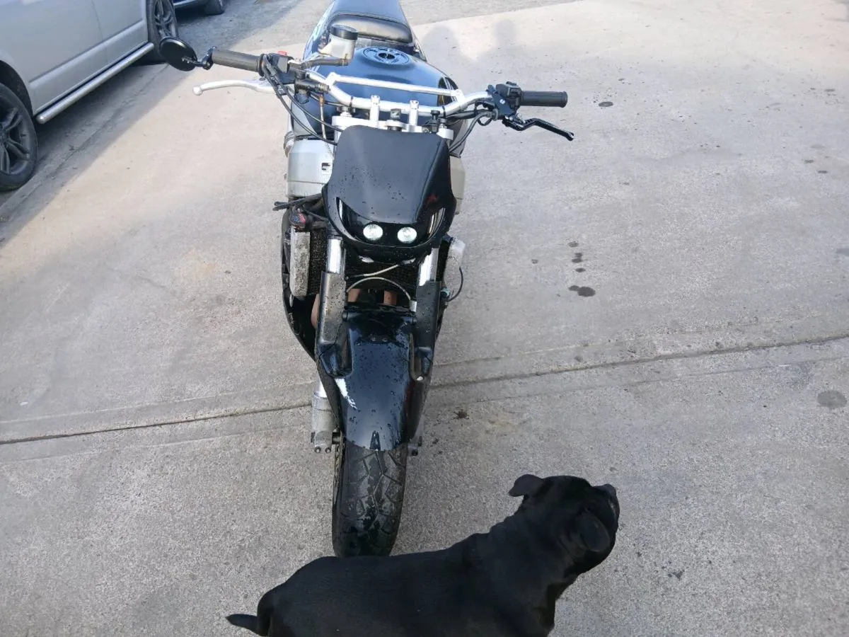 Honda fireblade - Image 2