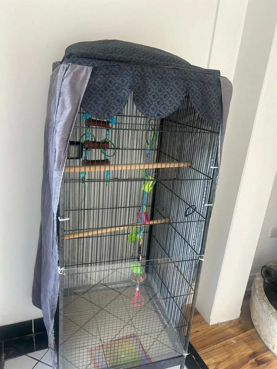 Large Cage - Image 4