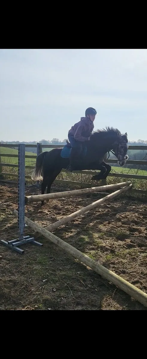 ⭐amazing pony⭐ - Image 2