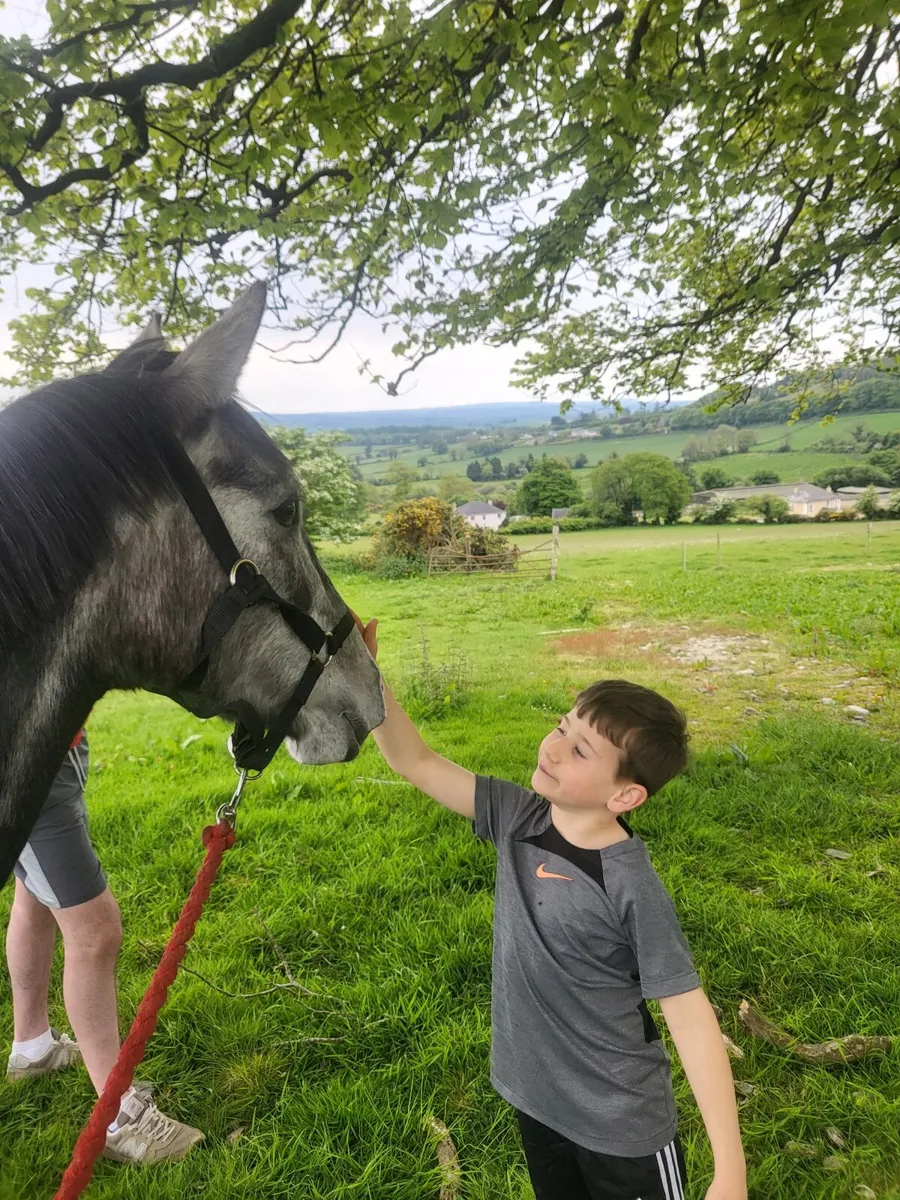 ⭐amazing pony⭐ - Image 3