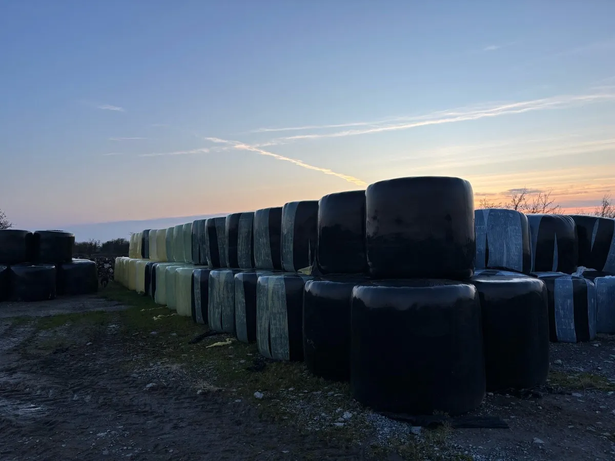 Silage Monivea Area