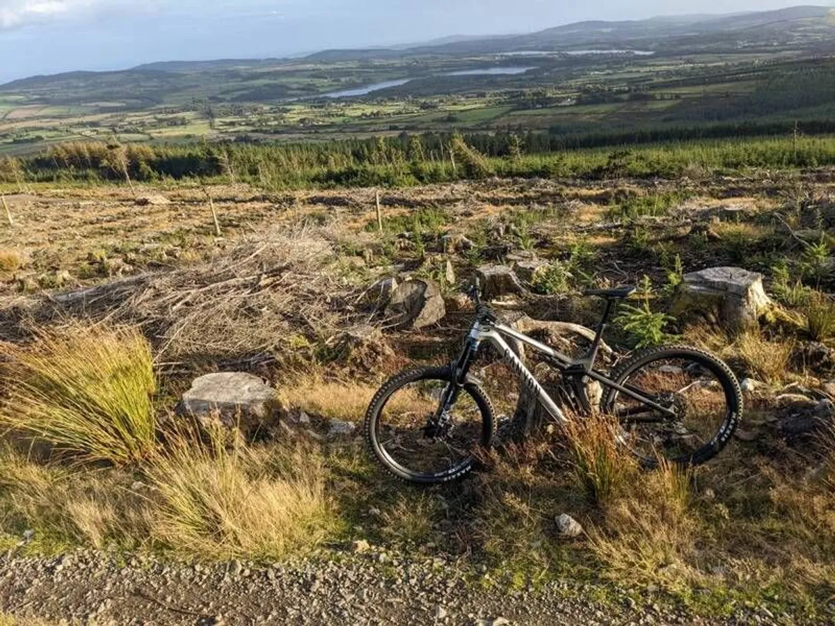 Canyon Strive CFR SIZE L - Image 2