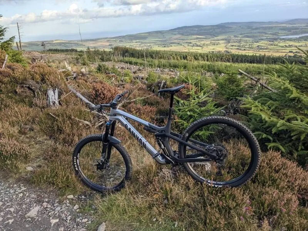 Canyon Strive CFR SIZE L - Image 3