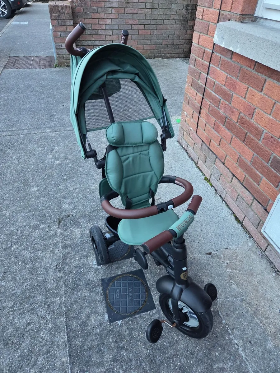 QPlay Rito Deluxe tricycle - Image 3