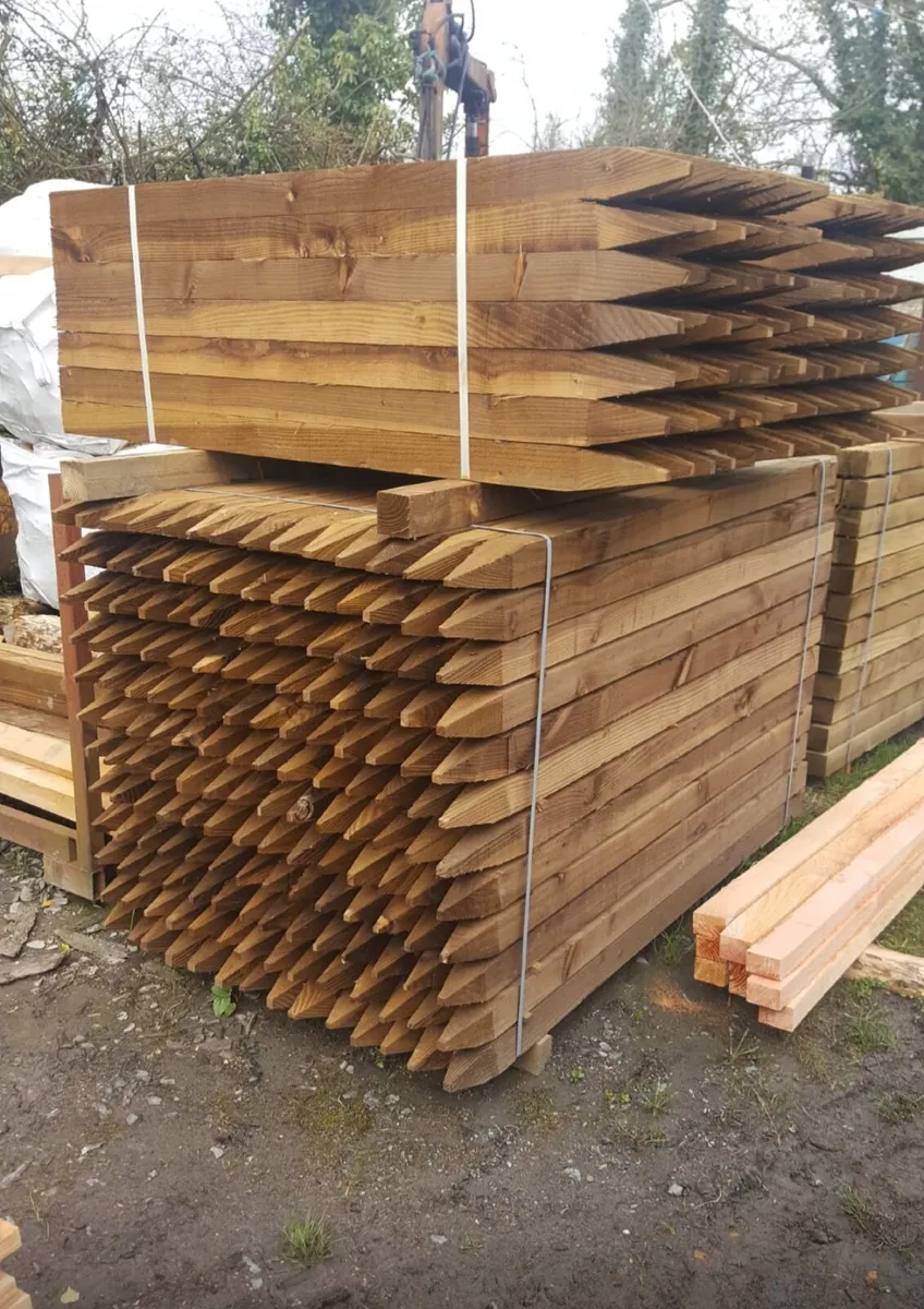 Larch steaks - Image 2