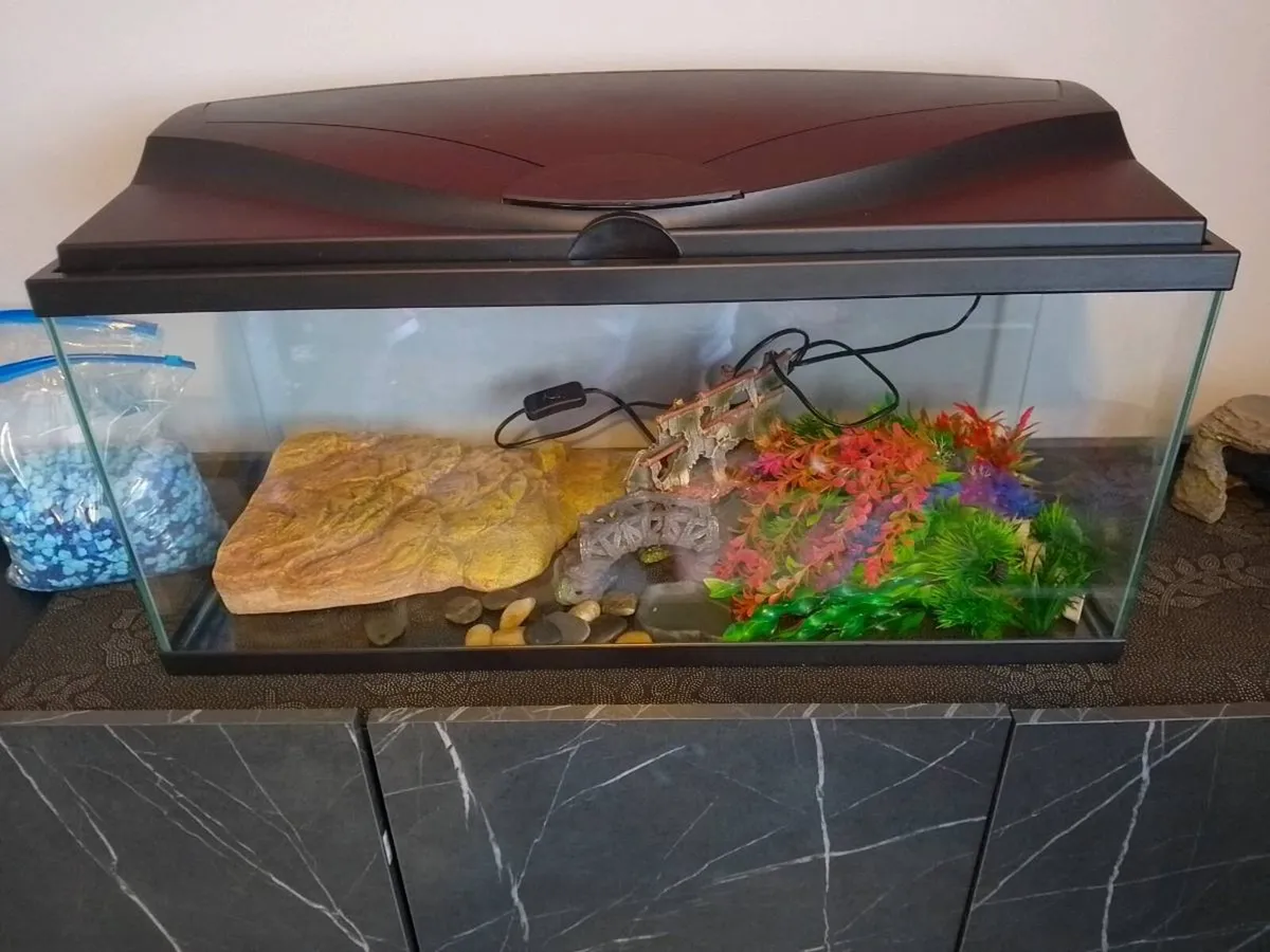 Fish tank - Image 1