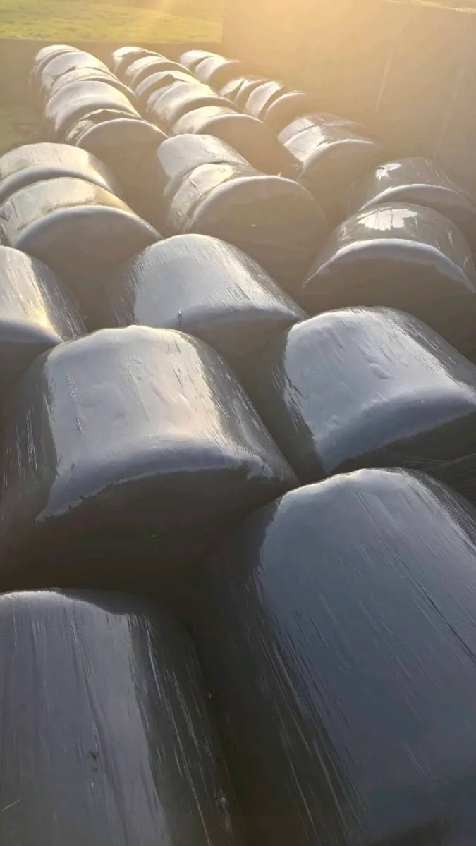 Silage Round Bales - Image 1