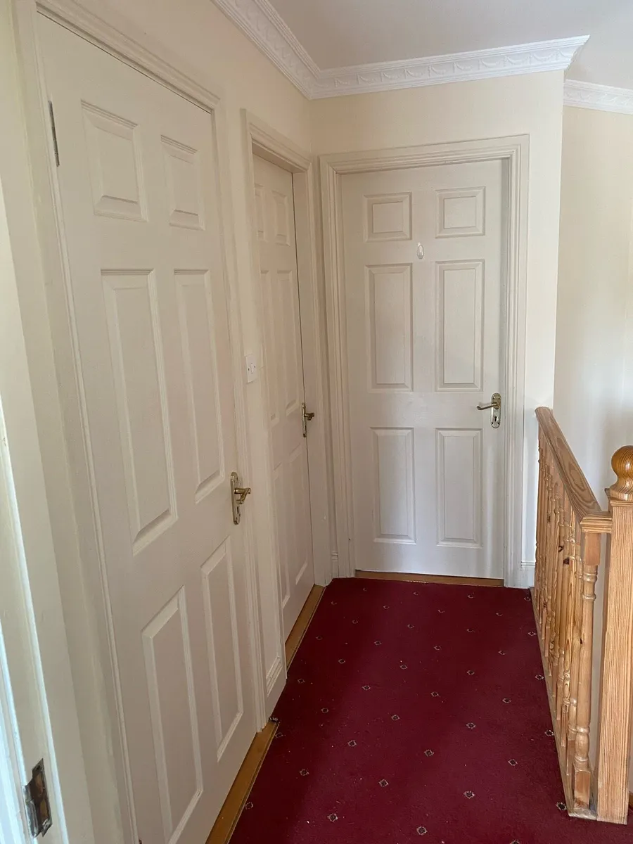 Selection of internal doors - Image 1