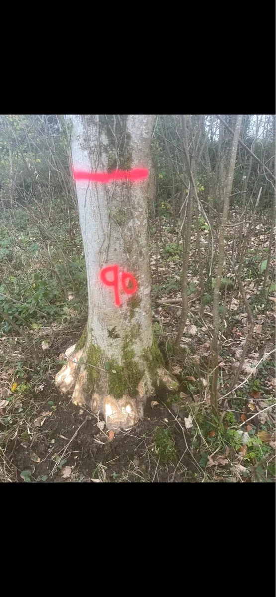 Ash Hurley butts - Image 4