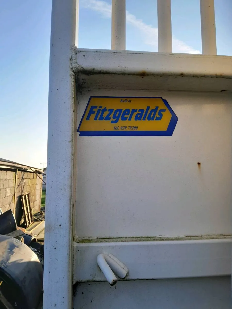 Fitzgerald Flatbed Body - Image 2