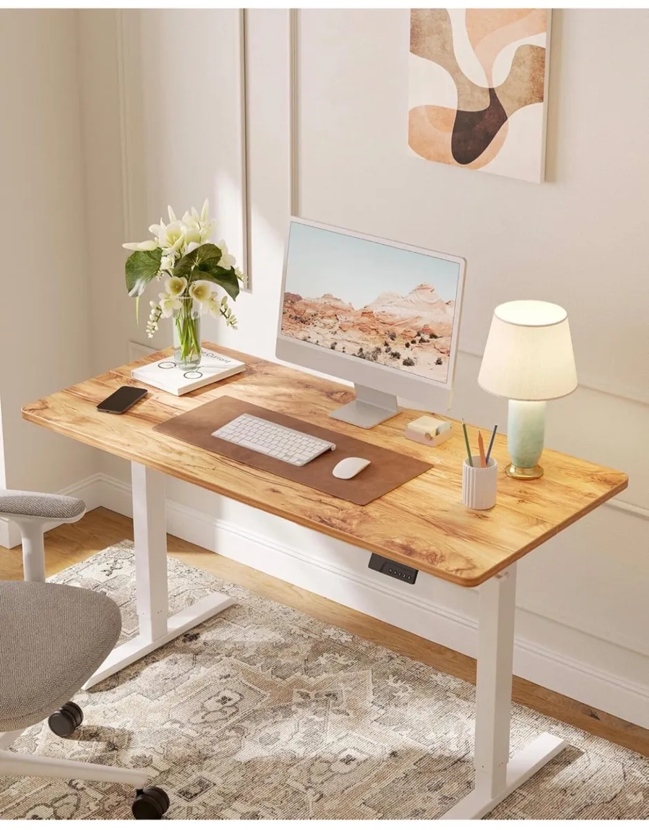 100 x 60cm Sit Stand Electric Home Office Desk wit - Image 1
