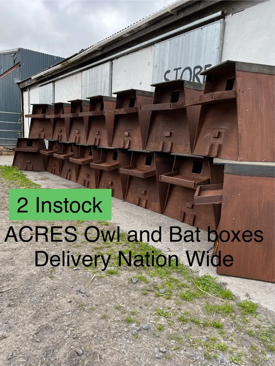 Owl boxes - Image 1