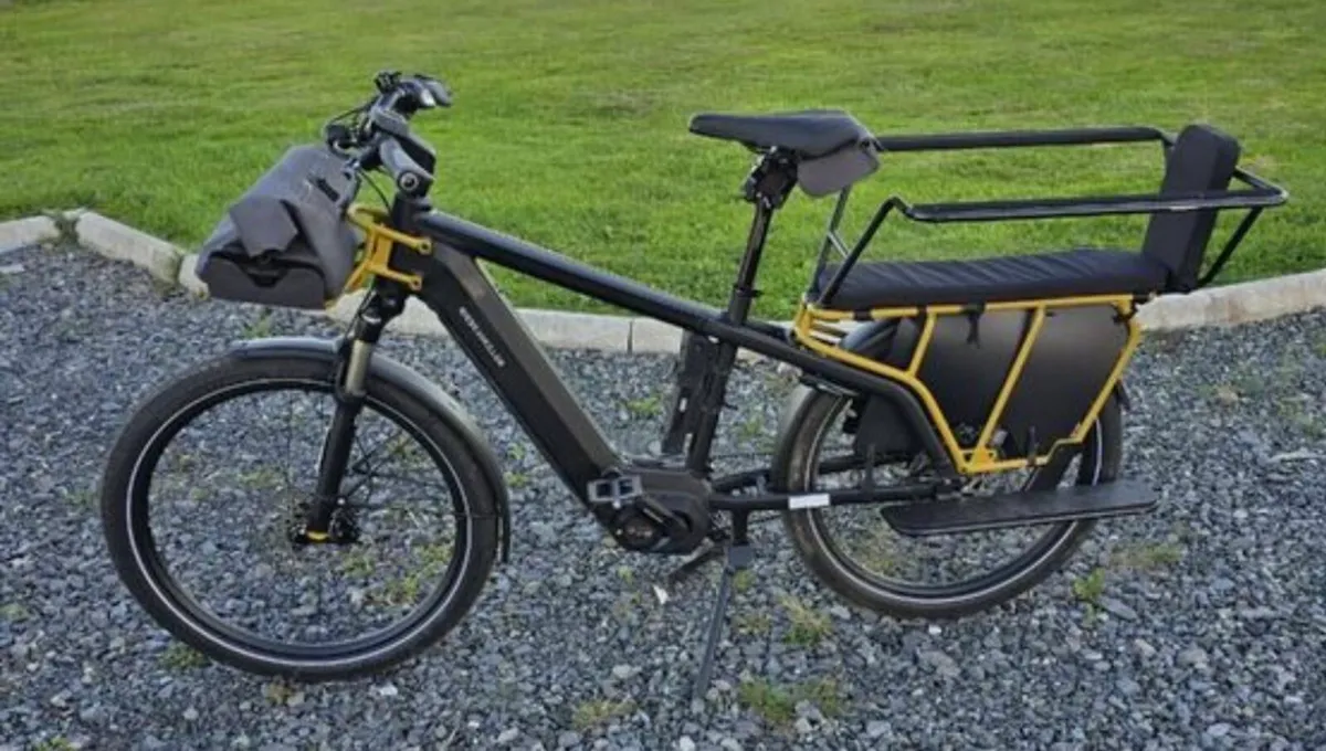 Riese & Müller Multicharger Vario Cargo Line - Image 4