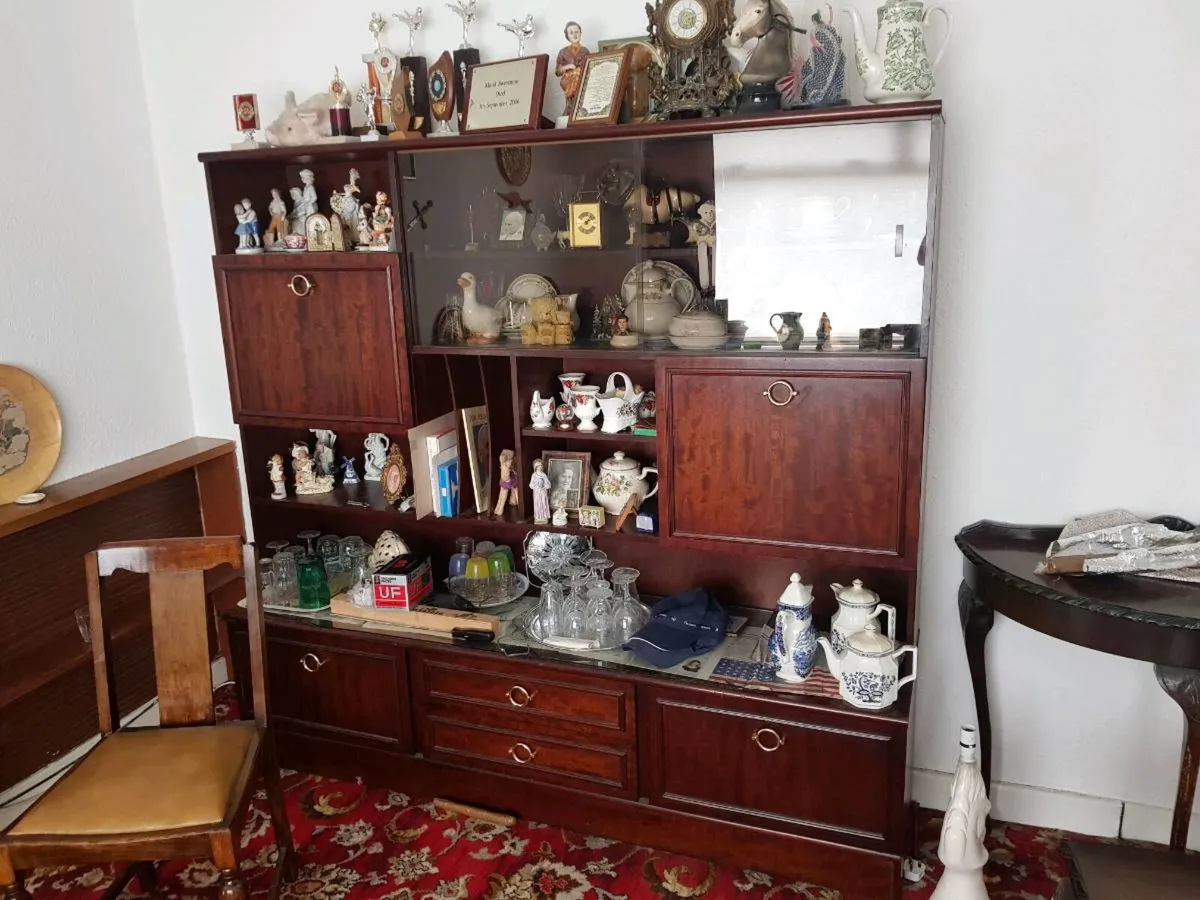 Living Room Cabinet Mahogany - Image 3