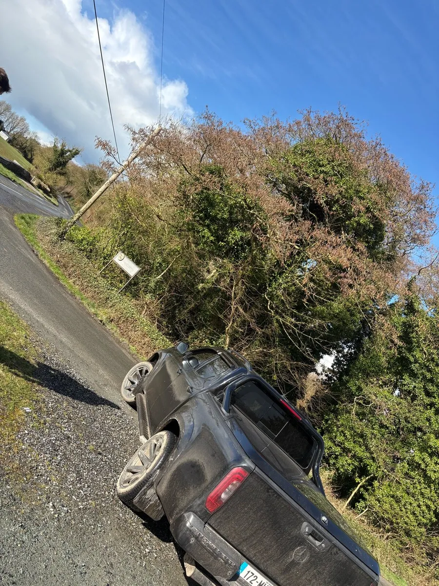 Mercedes-Benz X250d - Image 4