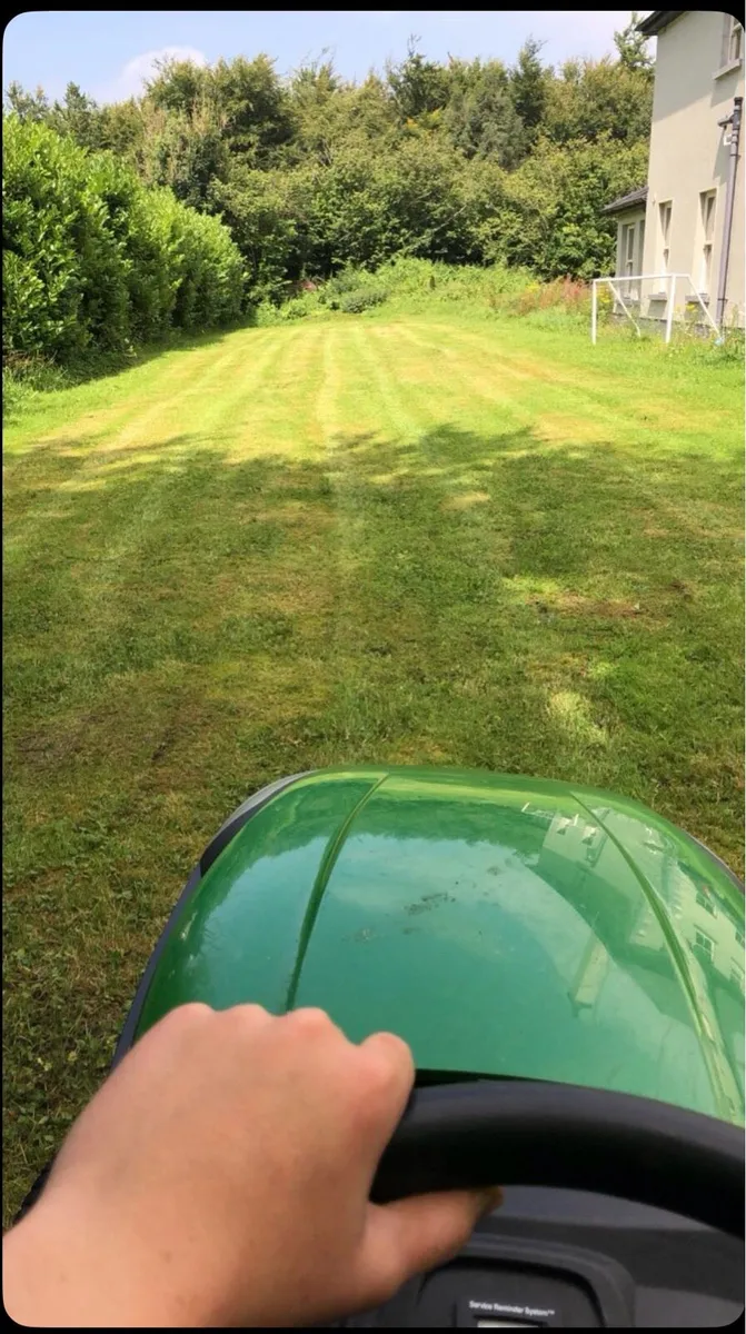 Lawn mowing - Image 3