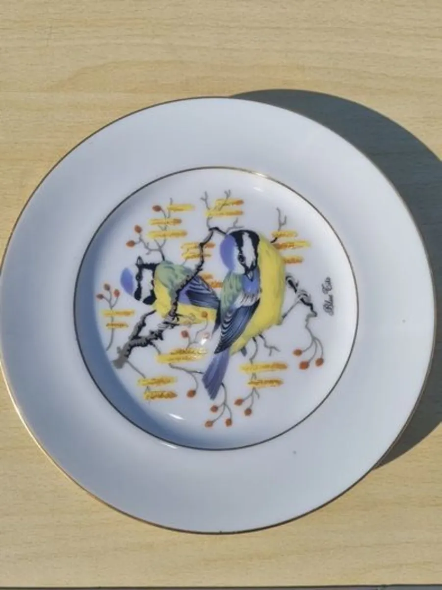 Royal Burlington Decorative plate - Image 1