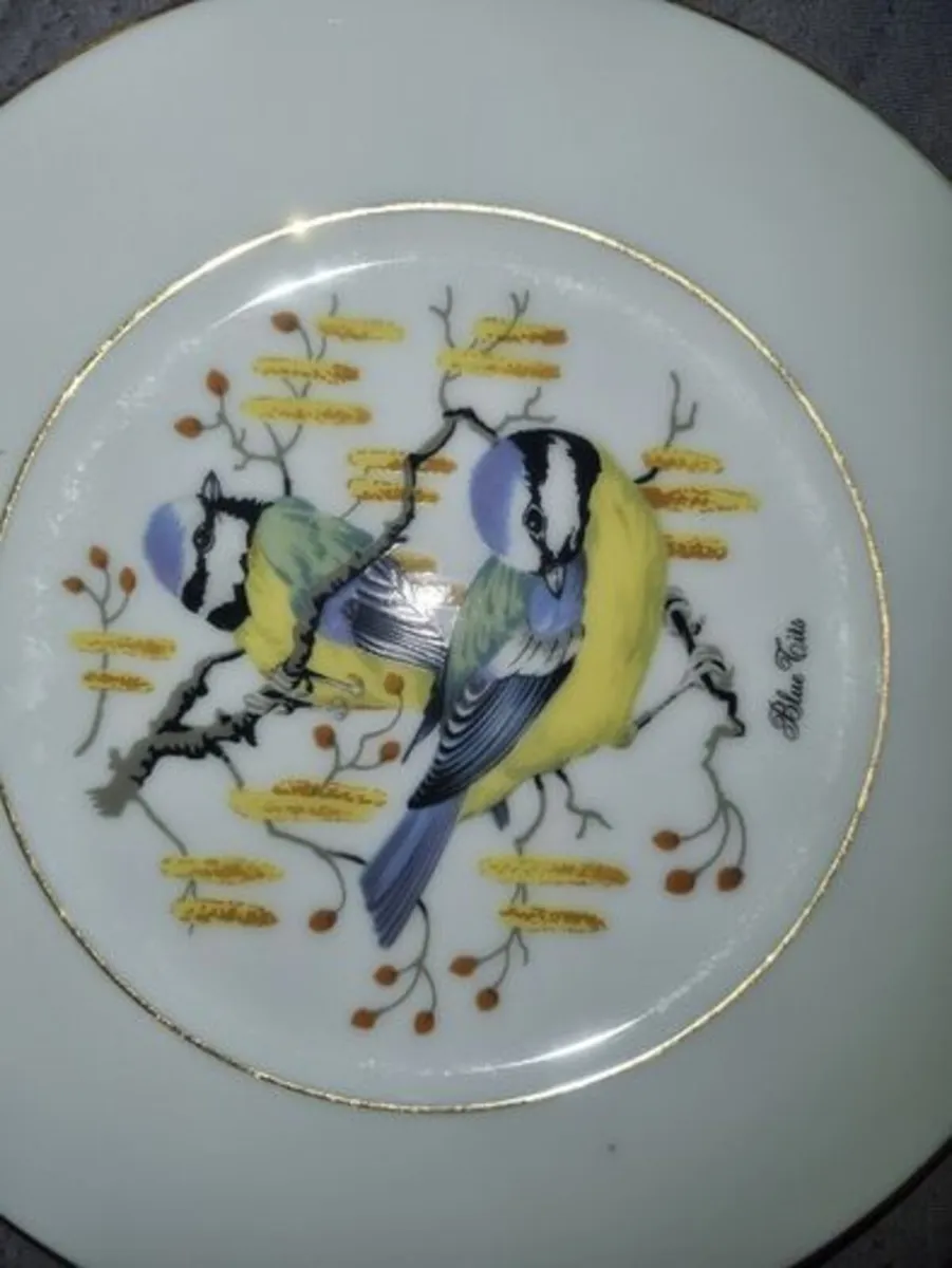 Royal Burlington Decorative plate - Image 2