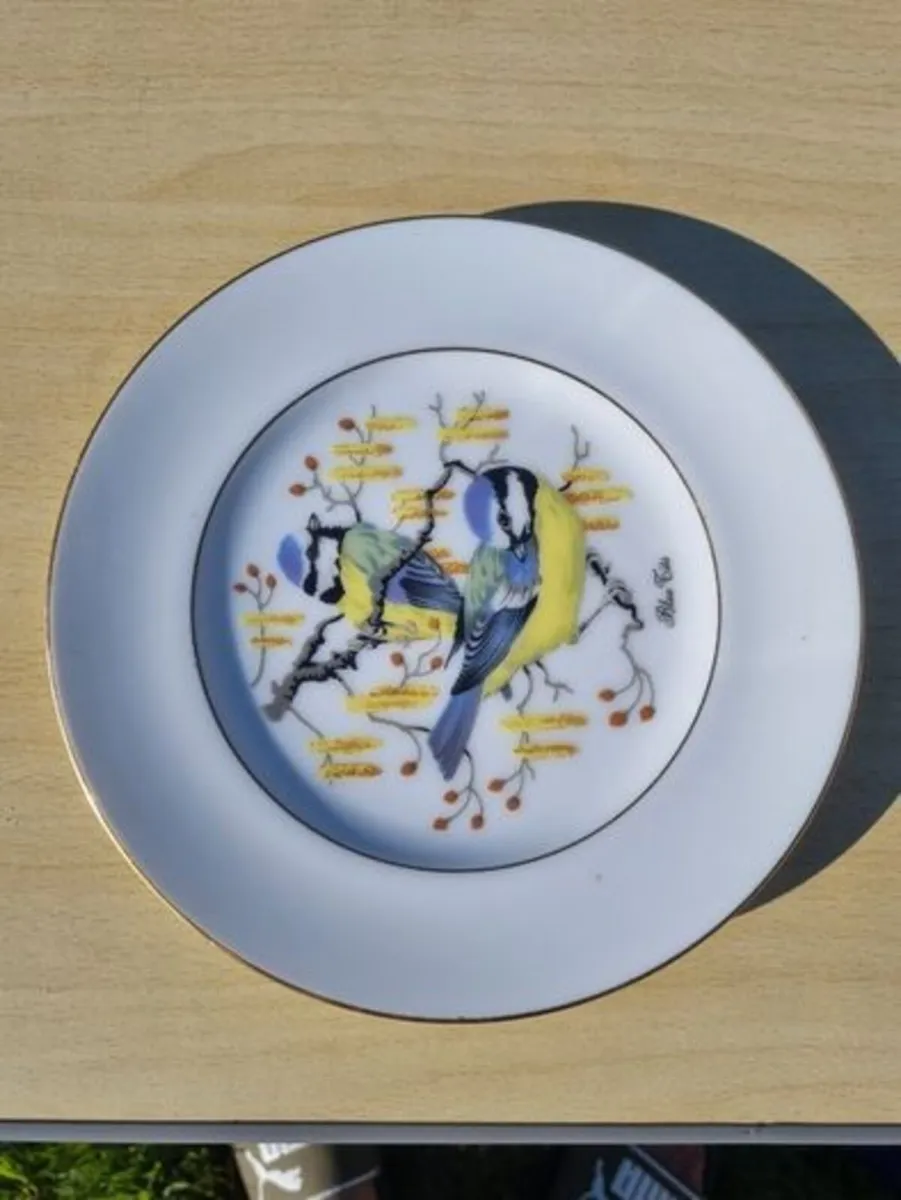Royal Burlington Decorative plate - Image 3