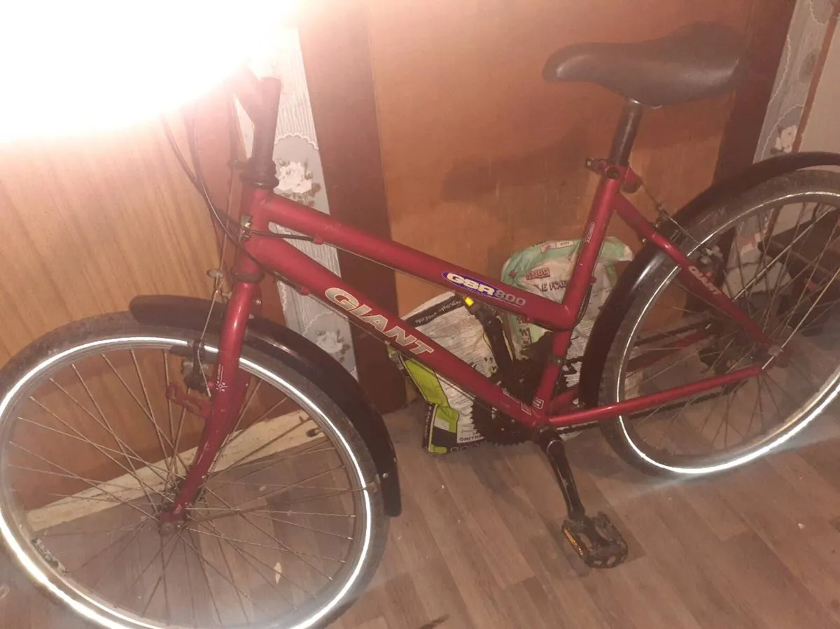 Ladies bike - Image 1