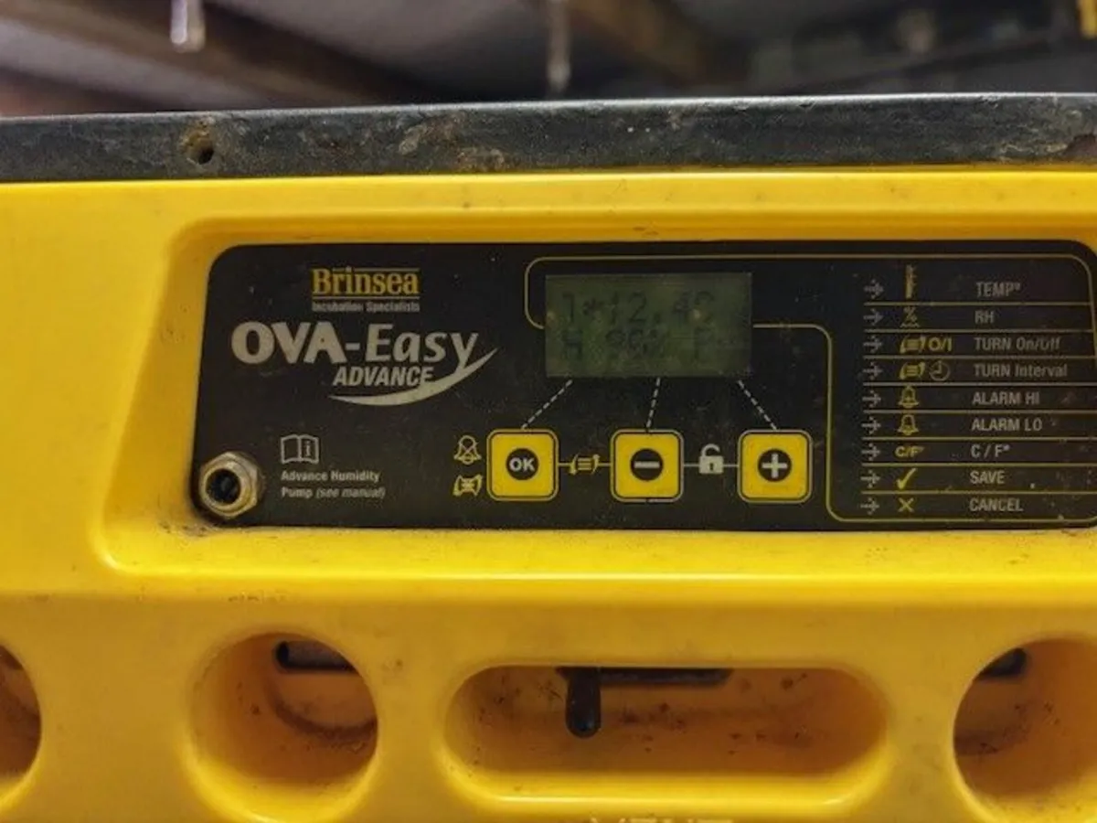 Brinsea OvaEasy 380 Advance EX - Image 1