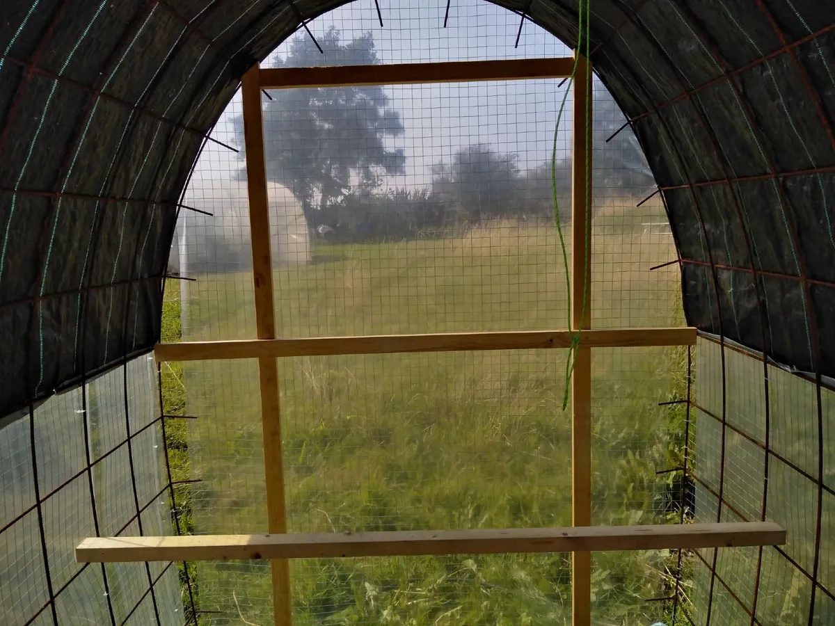 Chicken Coop Tractor - Image 3