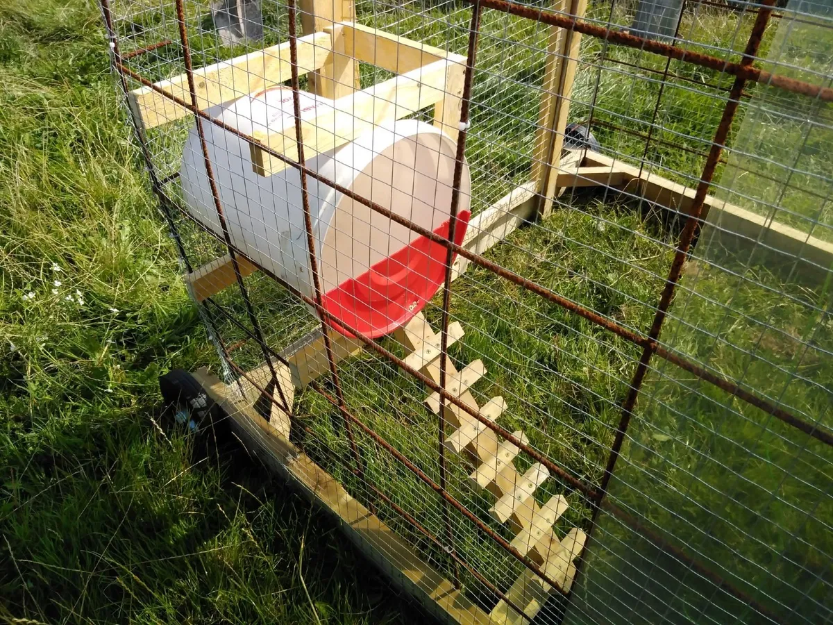 Chicken Coop Tractor - Image 4