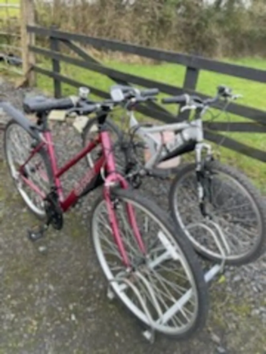 Apollo CX10 Teen/ Ladies Bike - Image 2